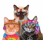 Cocktail Napkins | Groovy Cats