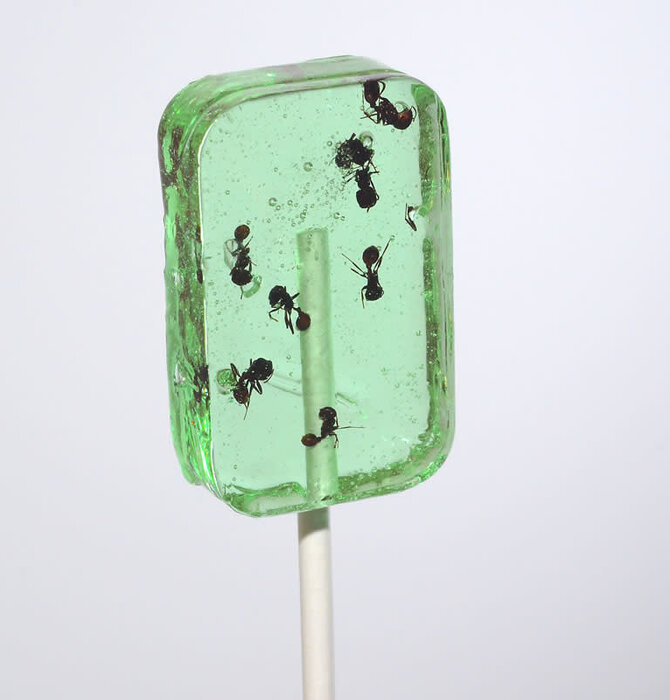 Candy | Hotlix Pops | Ant-Lix