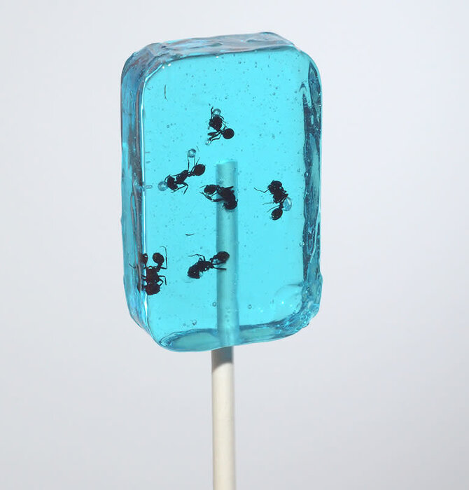 Candy | Hotlix Pops | Ant-Lix