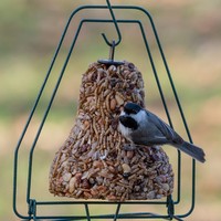 Mr. Bird Bird Seed | Bell Hanger