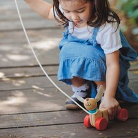 Plan Toys Toy | Pull-Along Happy Puppy