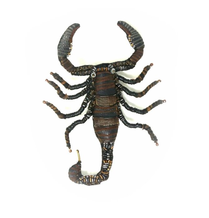 Brooch Pin | Emperor Scorpion