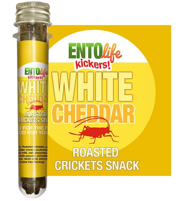 Snack | Cricket Mini-Kickers