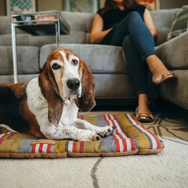 Pet BedChill PadHorizonSmall PLENTY Mercantile & Venue