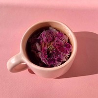 The Qi Tea | Whole Flower | Organic