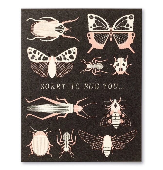 Card | Thanks | Sorry to Bug You
