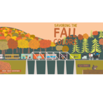 Board Book | All Aboard | National Parks