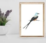 Art Print | Scissortail Flycatcher Bird