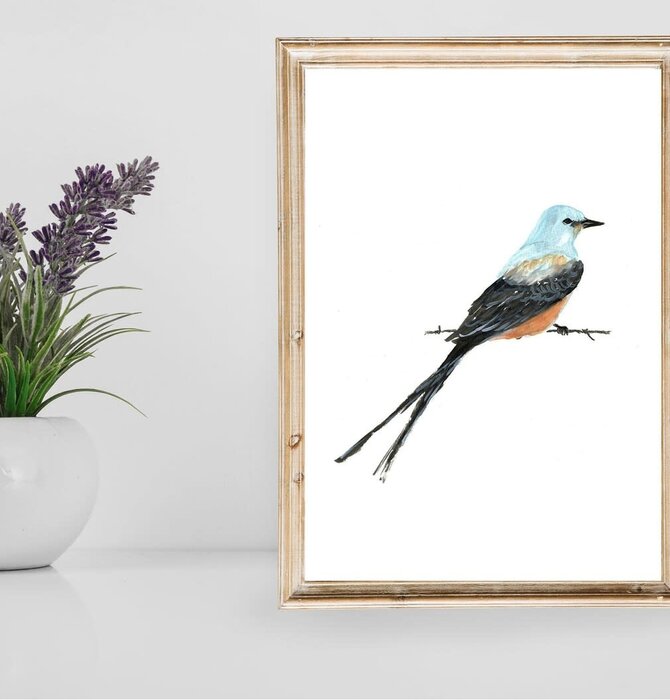 Art Print | Scissortail Flycatcher Bird