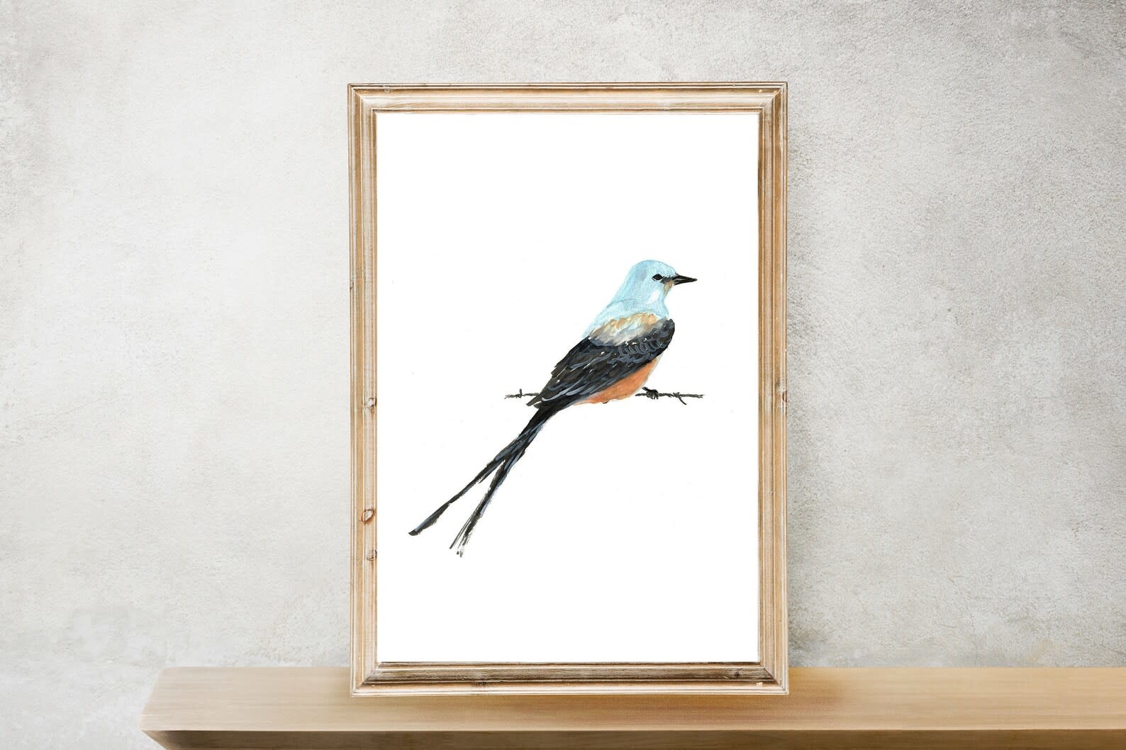 Art Print|Scissortail Flycatcher Bird