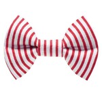 Dog Bow Tie | Large