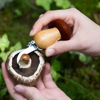 Kikkerland Tool | Mushroom Keychain