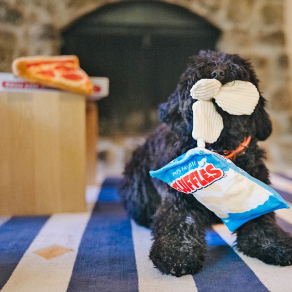P.L.A.Y. Dog Plush Toy | Snack Attack