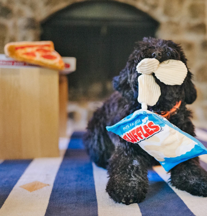Dog Plush Toy | Snack Attack