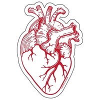 Counter Couture Vinyl Sticker | Anatomical Heart