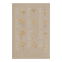 Young America Creative Poster | 13x19 Chipboard | California Native Wildflower