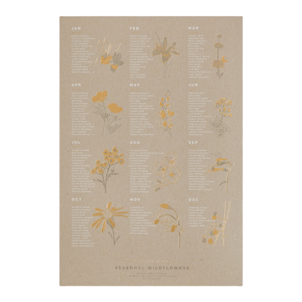 Young America Creative Poster | 13x19 Chipboard | California Native Wildflower