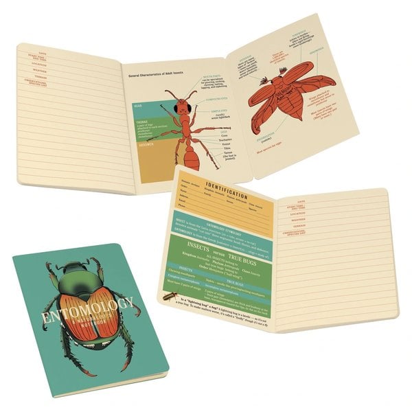 Unemployed Philosophers Guild Pocket Notebook | Insect