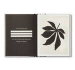 x-Book | Mom, More Than You Know