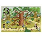 Board Book | Count & Find Primer | Trees