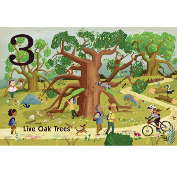 Gibbs Smith Board Book | Count & Find Primer | Trees