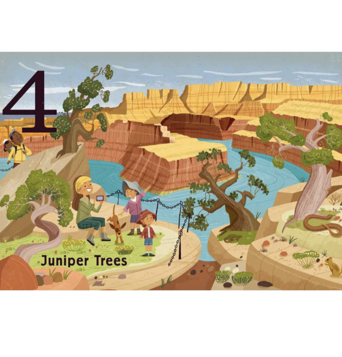 Board Book | Count & Find Primer | Trees