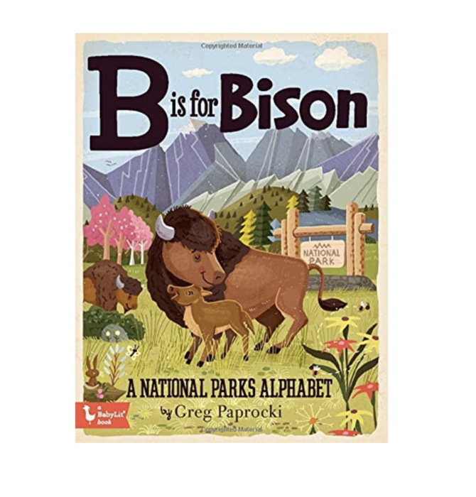 Boad Book | BabyLit Alphabet | B Is for Bison