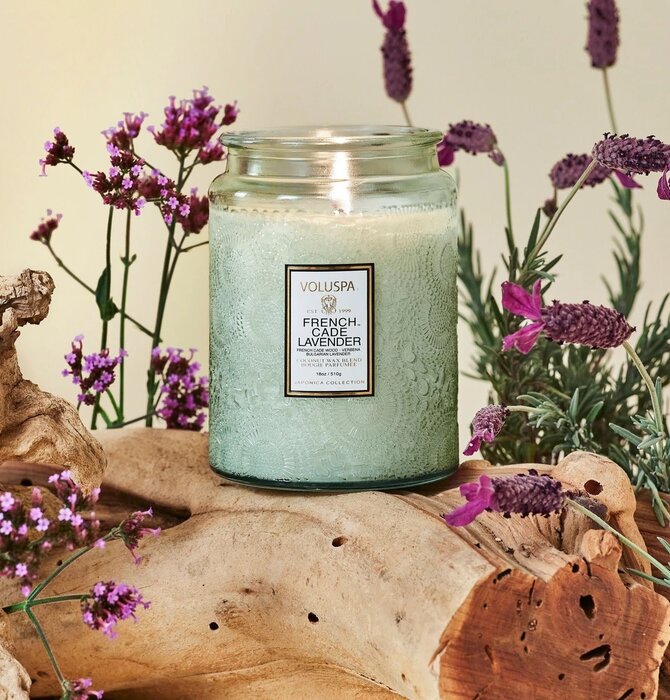 Candle | Japonica | French Cade Lavender