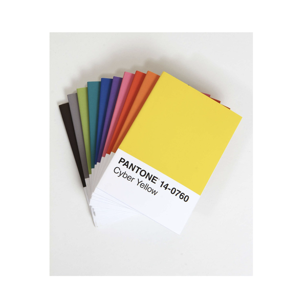 Chronicle Books Notebooks | Pantone | Set/10