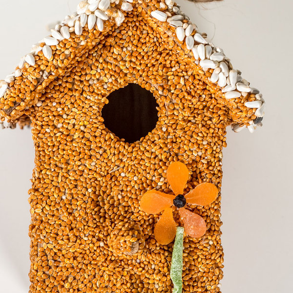 Mr. Bird Bird Seed Cottage | Spring Fruit