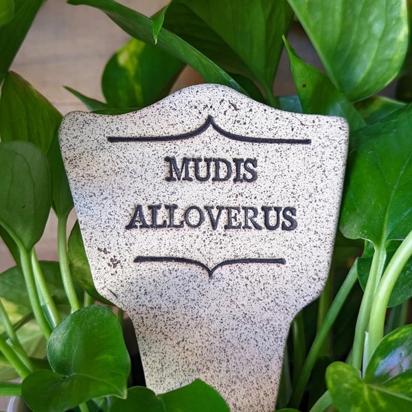 Amaranth Stoneware Plant Marker | "Comic Latin" | Mudis Alloverus