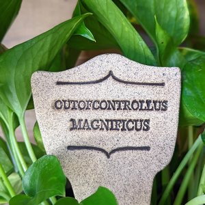 Amaranth Stoneware Plant Marker | "Comic Latin"  | Outofcontrollus Magnificus