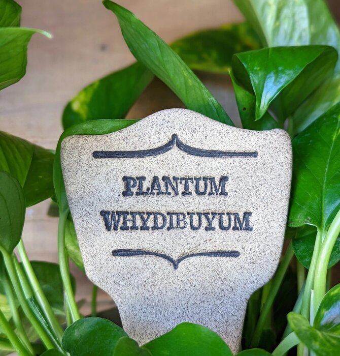 Plant Marker | "Comic Latin" | Plantum Whydibuyum