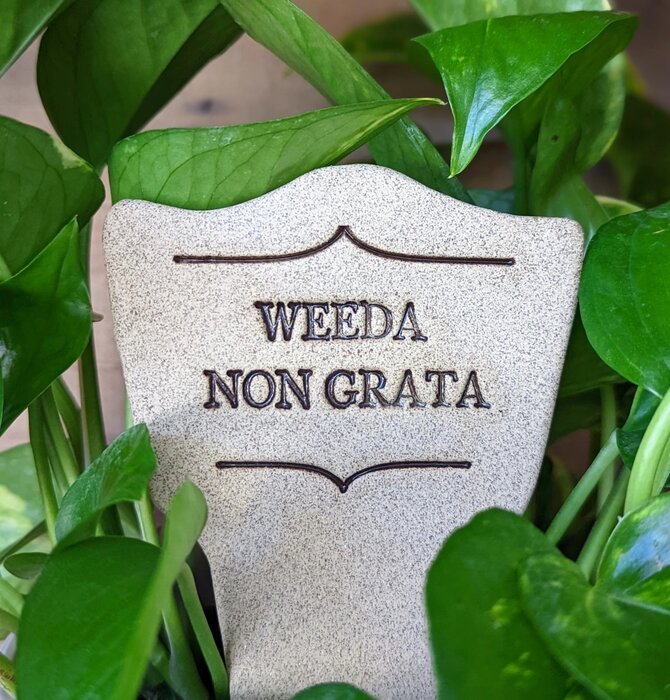Plant Marker | Weeda Non Grata