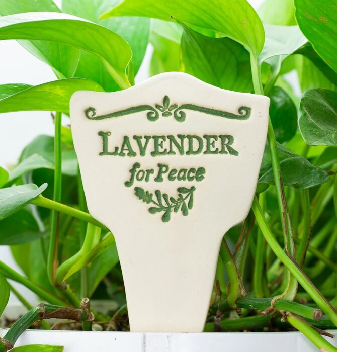 Plant Marker | "Lore" | Lavender for Peace
