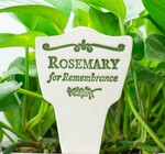 Plant Marker | "Lore" | Rosemary for Remembrance