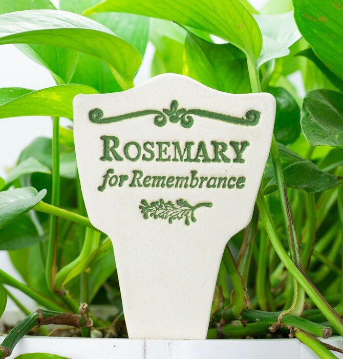 Plant Marker | "Lore" | Rosemary for Remembrance
