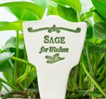 Plant Marker | "Lore" | Sage for Wisdom
