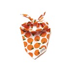 Pet Bandana | Fresh Pick Oranges