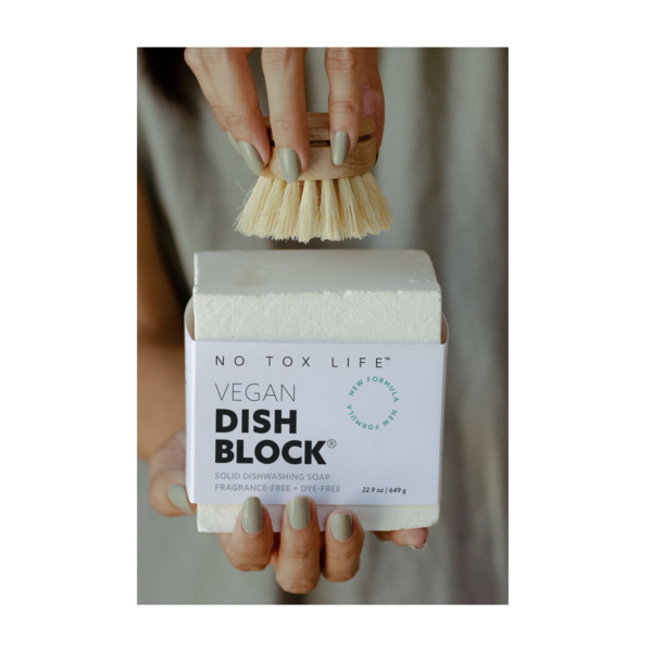 Dish Brush - Colored Handle - PLENTY Mercantile & Venue