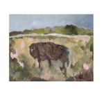 Art Print | American Bison