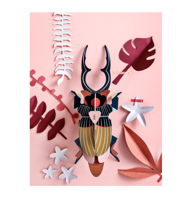 3D Insect Puzzle | Large Beetle