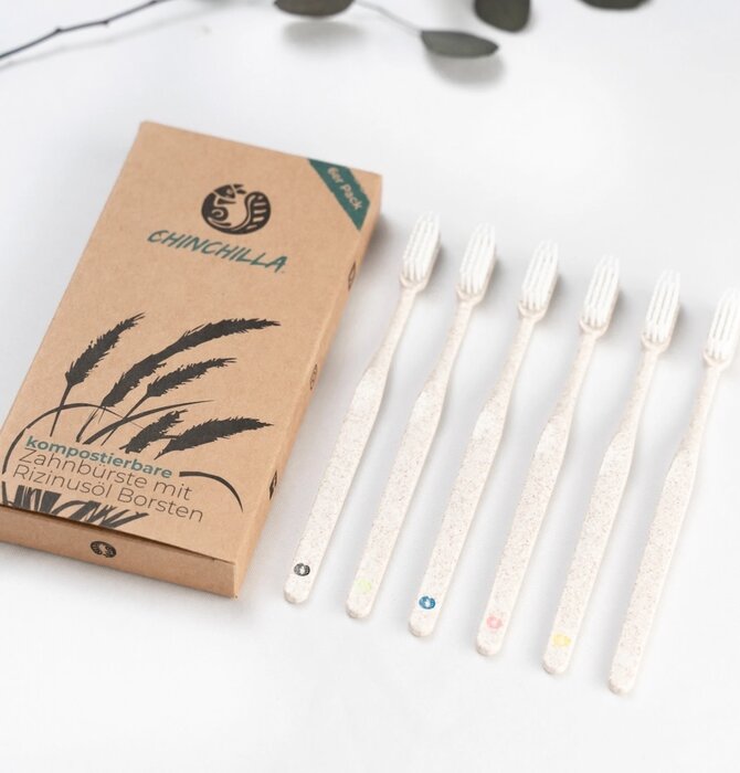 Toothbrush Set | Biodegradable Wheat Straw