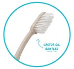 Toothbrush Set | Biodegradable Wheat Straw