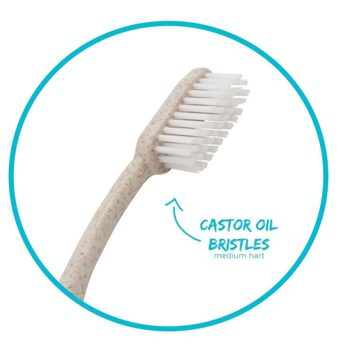 Toothbrush Set | Biodegradable Wheat Straw