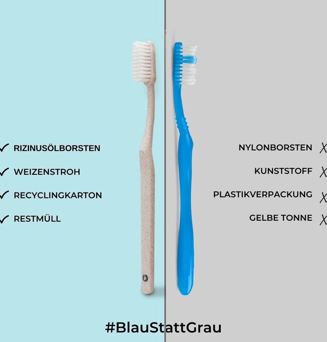 Toothbrush - Biodegradable Wheat Straw - Set/6