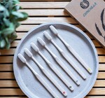 Toothbrush Set | Biodegradable Wheat Straw
