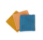 Dish Cloths | Kind™ Plant-Dyed | Multi 3-Pack