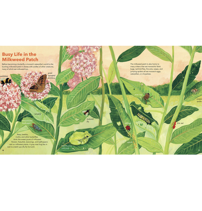 Book | Monarch Butterflies