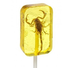 Candy | Hotlix Pops | Scorpion